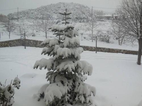 Gallery image of Κτήμα Φτελιά in Avérnai
