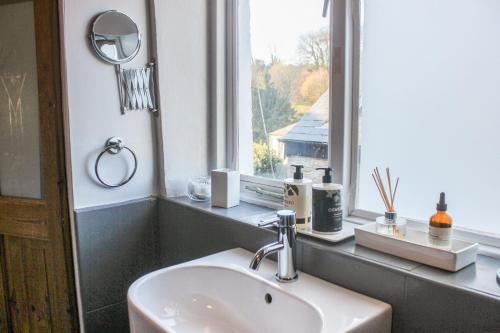 a bathroom with a sink and a window at Le Grand Bleu, 1 Court Cottages in Kingsbridge