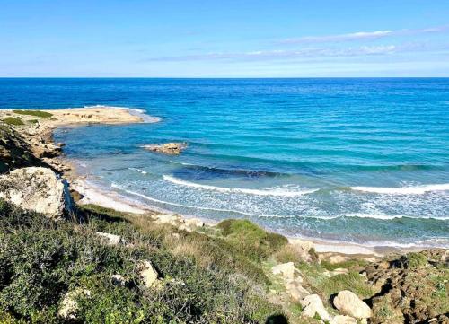 a view of the ocean with rocks and water at Boho Bay Apartment in Akanthou