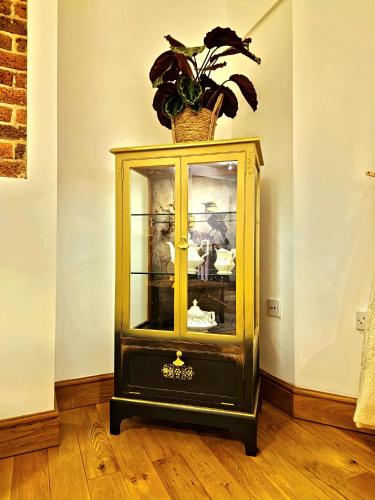 a yellow and black cabinet with a potted plant on top at The Three Musketeers, Aramis in Eastbourne