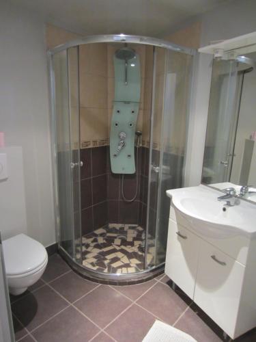 a shower in a bathroom with a toilet and a sink at Belvedere in Le Pré-Saint-Gervais