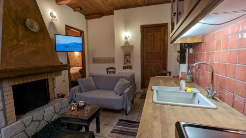 Kuchyň nebo kuchyňský kout v ubytování Diminio 2 Apartment at Livadi Arachova