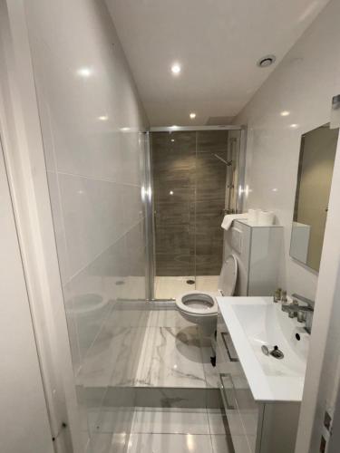 a bathroom with a shower and a toilet and a sink at Appartement 4 couchages Idéalement placé promenade des anglais / Cours Saleya in Nice
