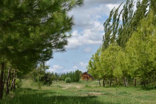 Foto dalla galleria di Finca La Vilina - Cabaña 1 a San Rafael