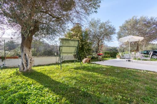 a green chair sitting in the grass next to a tree at Sunshine House in Episkopianá