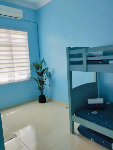 a blue room with a bunk bed and a plant at Kyrina Homestay in Kuala Terengganu