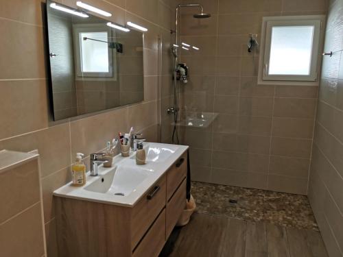 y baño con lavabo, ducha y espejo. en L Etoile de Mer - Piscine chauffee, en Saint-Vincent-sur-Jard