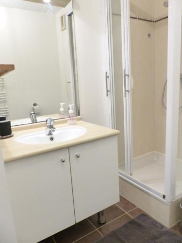 une salle de bain avec un lavabo et une douche dans l'établissement T2 République Parking inclus, à Nantes