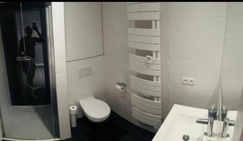 a bathroom with a toilet and a shower and a sink at Belle appartement commission européenne in Brussels