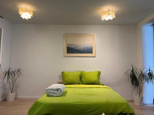 sypialnia z łóżkiem z zielonym kocem w obiekcie Belle appartement commission européenne w Brukseli