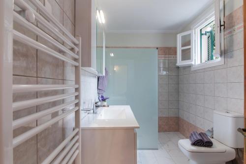 a bathroom with a white sink and a toilet at Spiros Holidays House in Doukádes