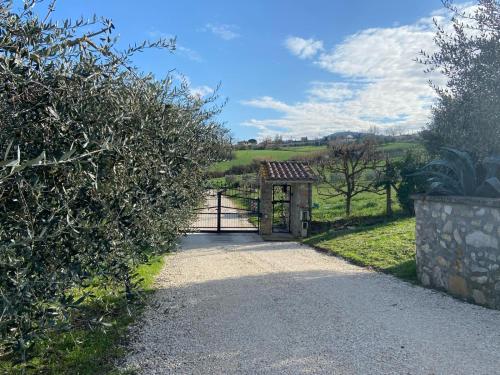 a gate in a field with a fence at Casa civico22 in Fratta Todina