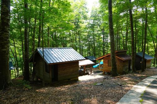 a group of huts in the woods at Hatto Furusato no Mori - Vacation STAY 21068v in Yamasaki