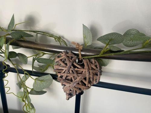 a plant in a holder on a wall at Cosy cottage in Chard