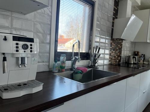 a kitchen with a sink and a coffee maker at Nordic Company Lodge in Vuollerim