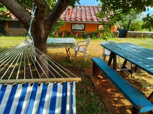 a picnic table and a hammock next to a tree at Poderino La Noce in Vinci