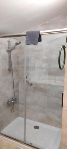 een douche met een glazen deur in de badkamer bij Complejo Rural Yebras in Mataelpino