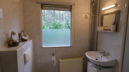 een badkamer met een wastafel, een toilet en een raam bij Vakantiehuis De Veldhoen vrijgelegen nabij de rivier de Vecht in Beerze