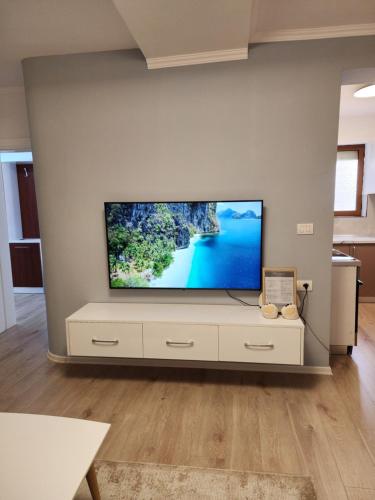 TV a/nebo společenská místnost v ubytování Comfy Elbasan Apartment