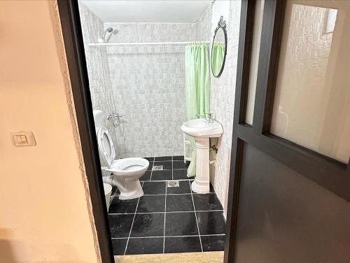 a bathroom with a toilet and green shower curtain at Jericho Palestine, Panorama Villa- View, Full Privacy & Pool in Jericho