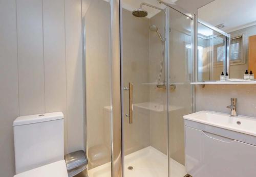 a bathroom with a shower and a toilet and a sink at Loch Lomond Holiday Park in Inversnaid