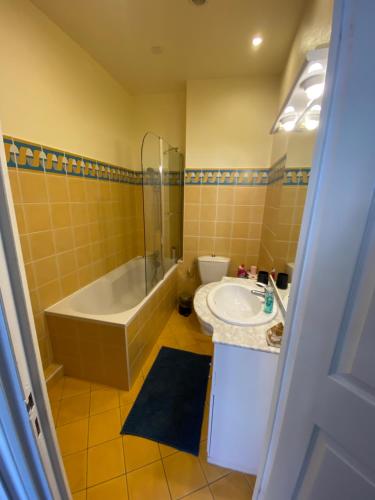 a bathroom with a tub and a toilet and a sink at Le Jean Jaurès in Troyes