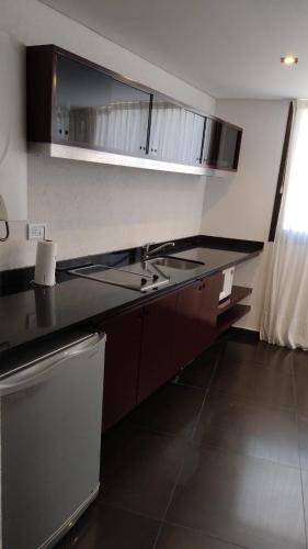 a kitchen with a sink and a counter top at Village de las Pampas Apart Hotel Boutique in Mar de las Pampas