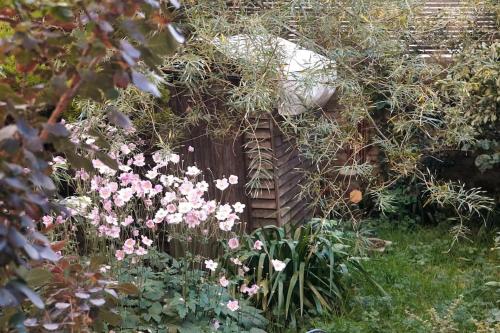 Cosy 1 bedroom with garden 2 min from seafront photo 11