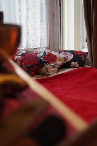 Cosy 1 bedroom with garden 2 min from seafront photo 15