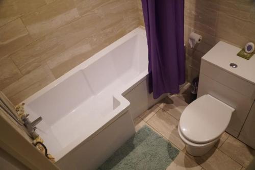 Cosy 1 bedroom with garden 2 min from seafront photo 8