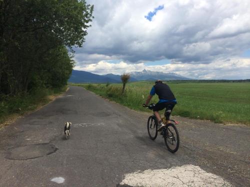 a man riding a bike and a cat on a road at Drevenica JURsport Dúbrava in Dúbrava