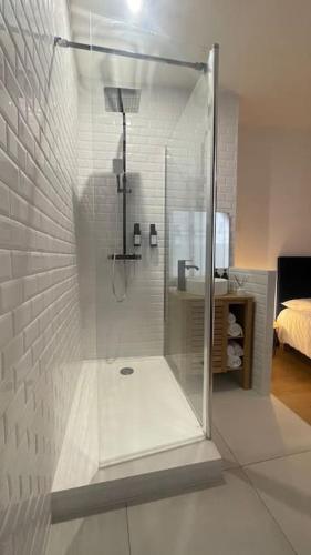 une douche en verre dans une salle de bain avec un lavabo dans l'établissement 2 pièces au cœur d'Angers, à Angers