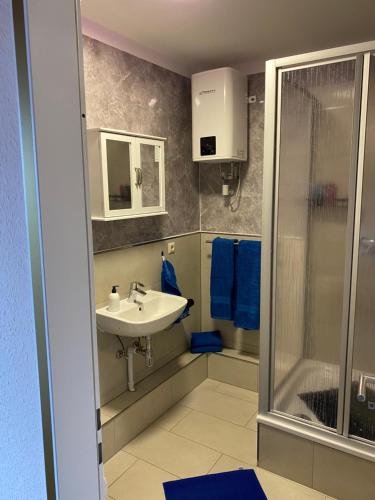 a bathroom with a sink and a shower at Pension King Royal in Hamburg
