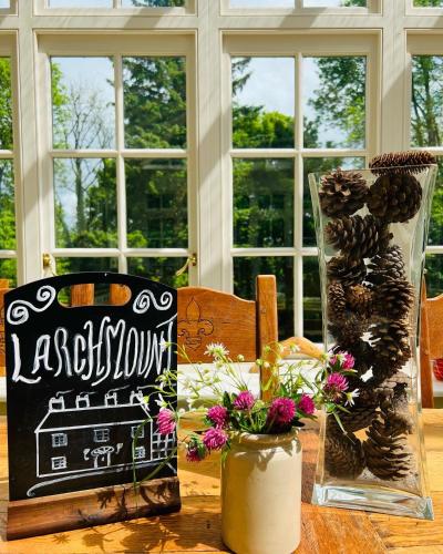 Κήπος έξω από το Larchmount House B&B