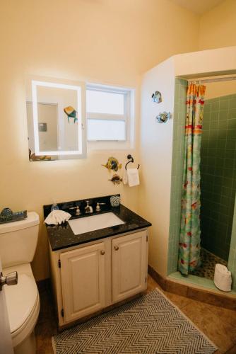 ein Bad mit einem WC, einem Waschbecken und einer Dusche in der Unterkunft Indigo in Cruz Bay