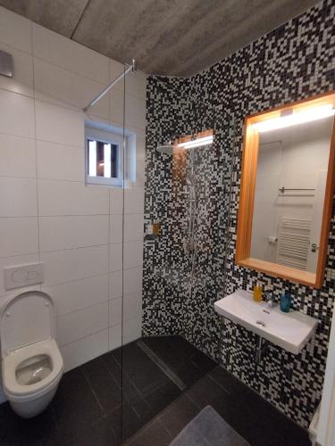 a bathroom with a toilet and a sink and a mirror at Penzion Kůlna in Slatiňany