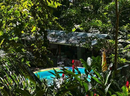 a house in the jungle with a swimming pool at Comfy jungle place / FiberOptic/1 km from the beach in Cocles