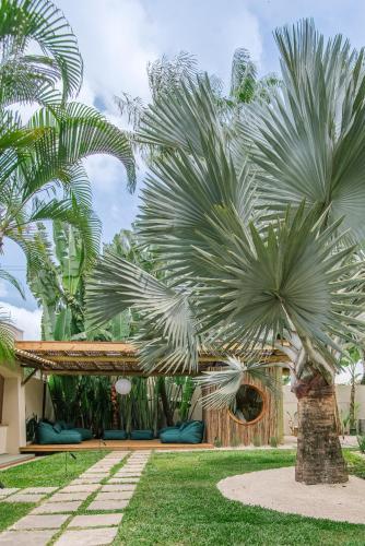 a palm tree in front of a house at Pousada Pazuu in Ubatuba