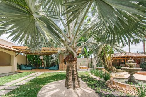 a palm tree in the yard of a house at Pousada Pazuu in Ubatuba