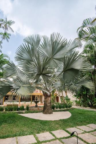 a palm tree in front of a building at Pousada Pazuu in Ubatuba