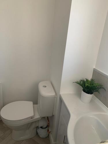 Ένα μπάνιο στο Dumfries Apartment 2