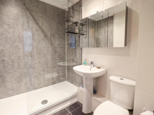 een badkamer met een wastafel, een toilet en een douche bij Harbour View in Porthmadog