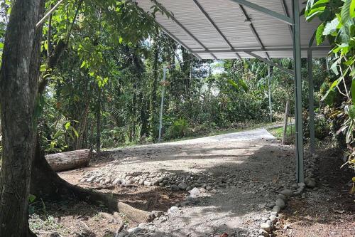 a covered area with a tree in the woods at Tiny jungle house, few minutes from the beach in Cocles