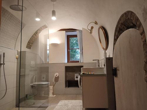 a bathroom with a shower and a sink and a toilet at Appartement Fassbinder in Hall in Tirol