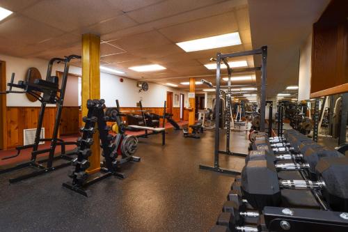 a gym with rows of treadmills and machines at Baker Creek By Basecamp in Lake Louise