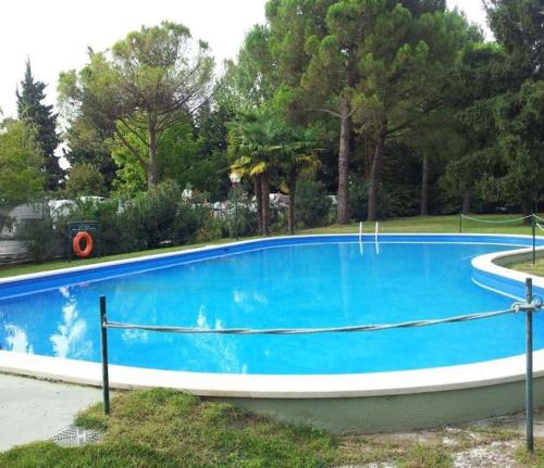 una grande piscina blu con alberi sullo sfondo di Solaris Apartment with swimming pool a Lazise