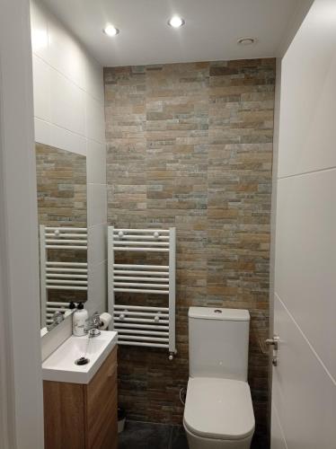 a bathroom with a toilet and a sink at A orillas del Duero in Soria