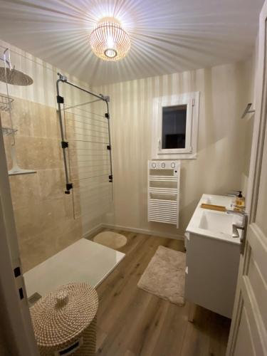 une salle de bain avec une douche, un lavabo et un miroir dans l'établissement Les balcons de Bouzigues, à Bouzigues