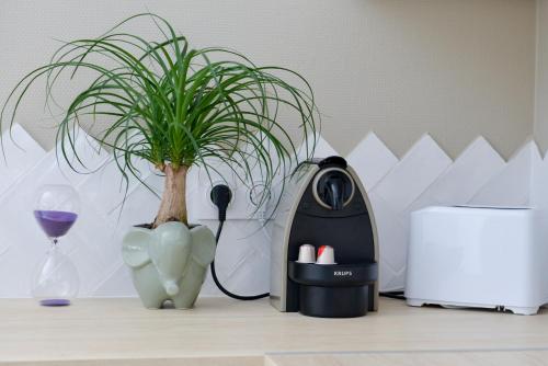 a plant on a counter with a blender and a plant at Le Charial in Lyon