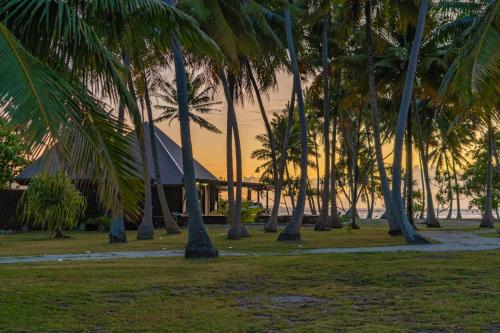 a group of palm trees in front of a building at Motu Fara Private Island in Avatoru
